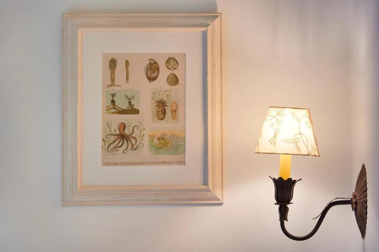 Casa Do Mercado Lisboa Bed & Breakfast Lisbon